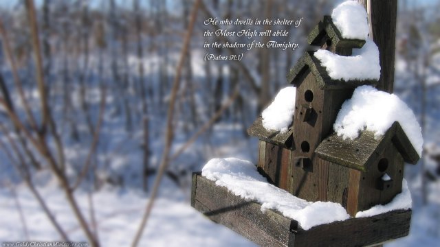 winter-bird-house